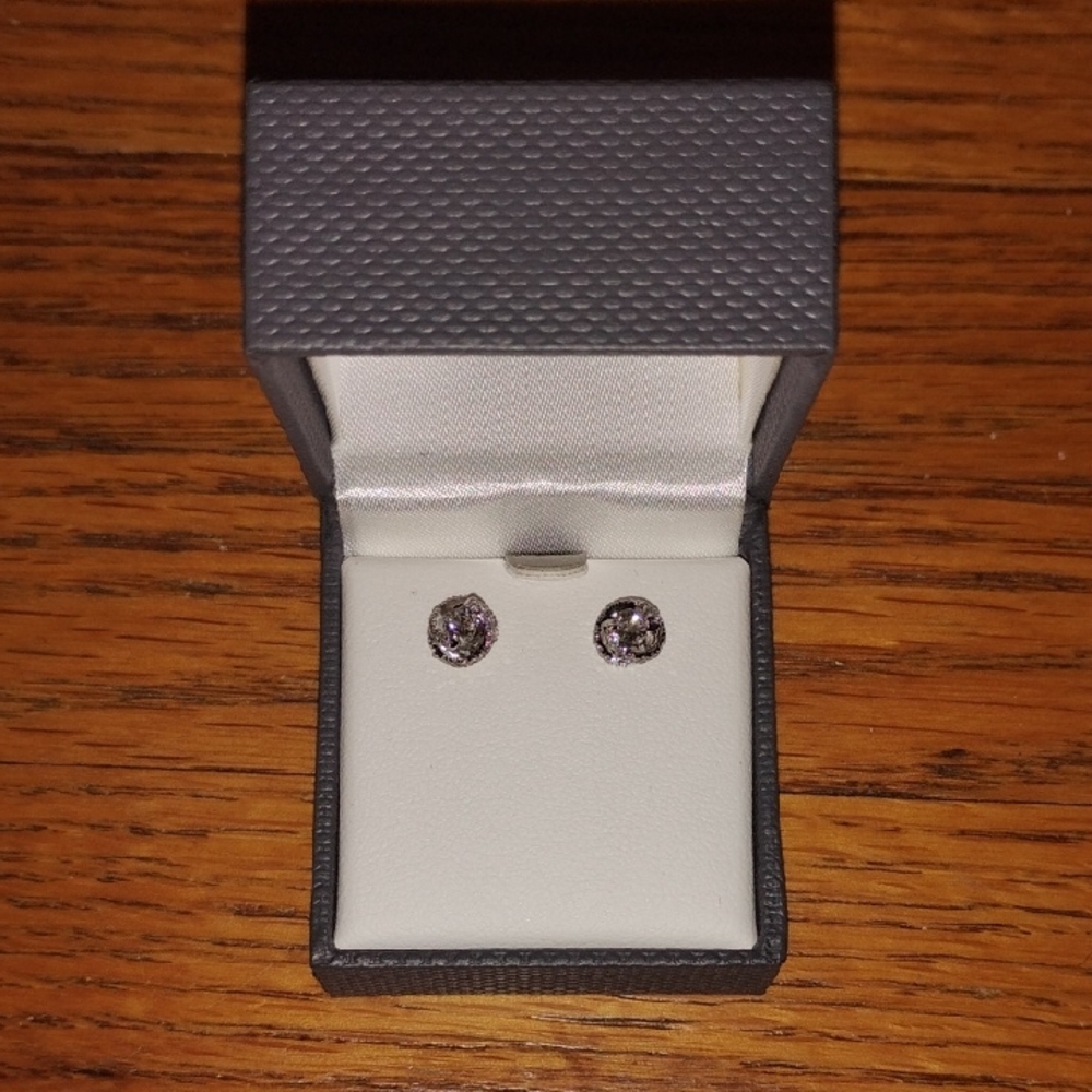 Elegant Silver Stud Earrings